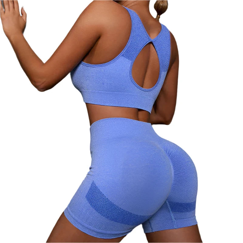 Two Piece Blue Seamless Yoga/Gym Set