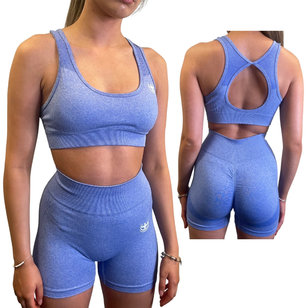 Two Piece Blue Seamless Yoga/Gym Set